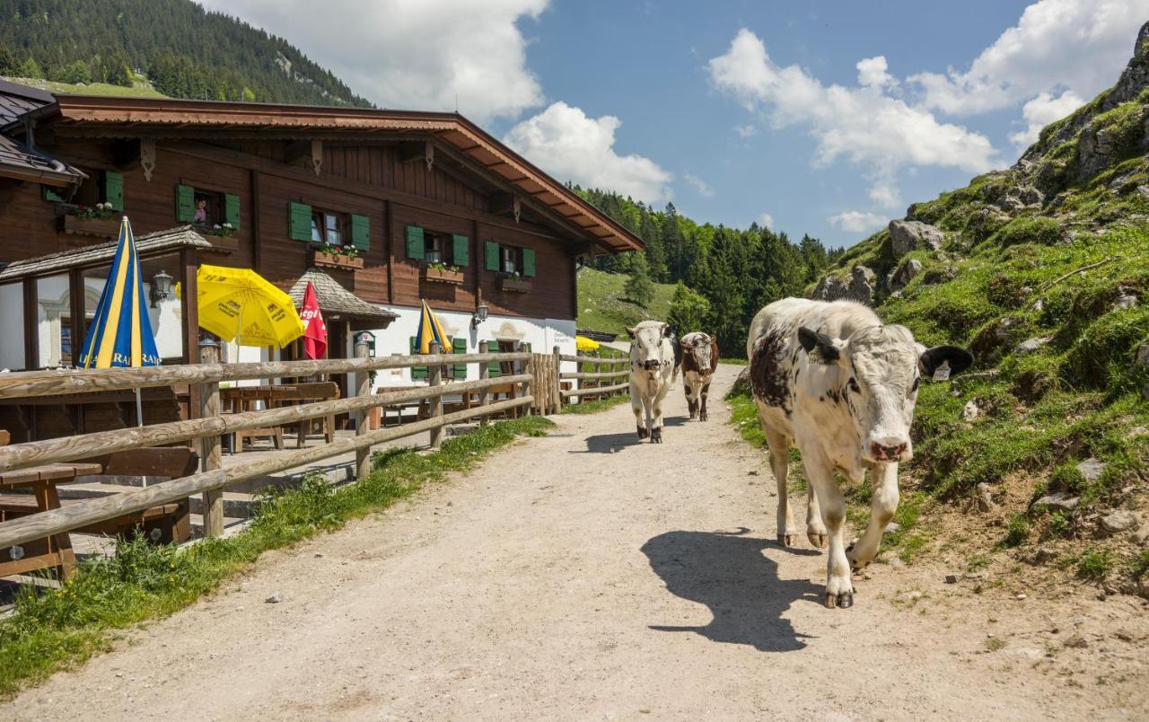 Ritzau Alm Hotel Ebbs Exterior foto